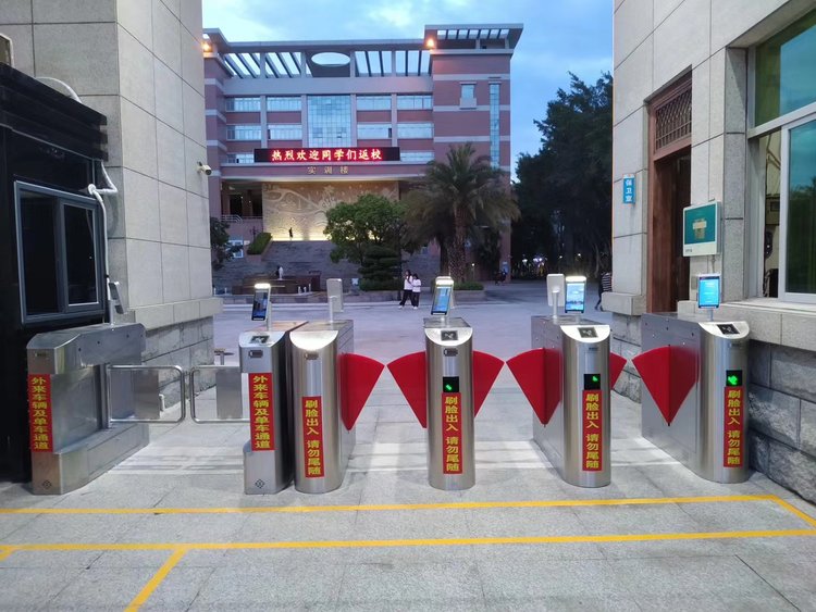 What is a 3 Arm Turnstile Video?